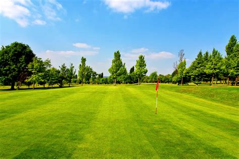 Golf course grass. Things To Know About Golf course grass. 